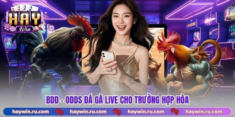 BDD - Odds Đá Gà Live cho trường hợp hòa