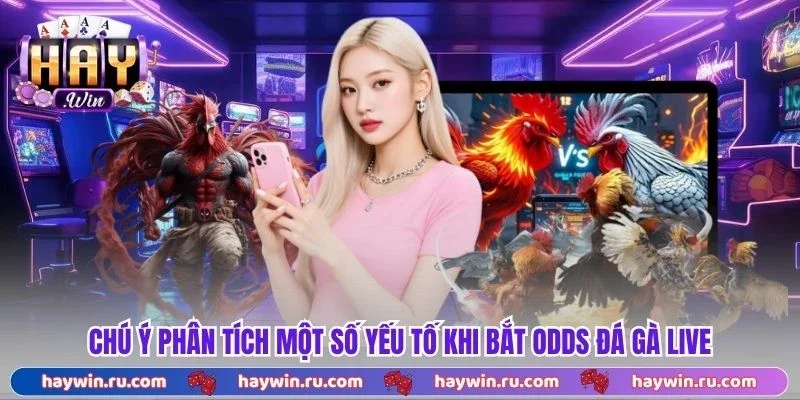 Chú ý phân tích một số yếu tố khi bắt Odds Đá Gà Live