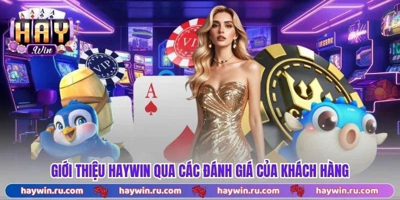 Giới Thiệu Haywin Qua Các Đánh Giá Của Khách Hàng